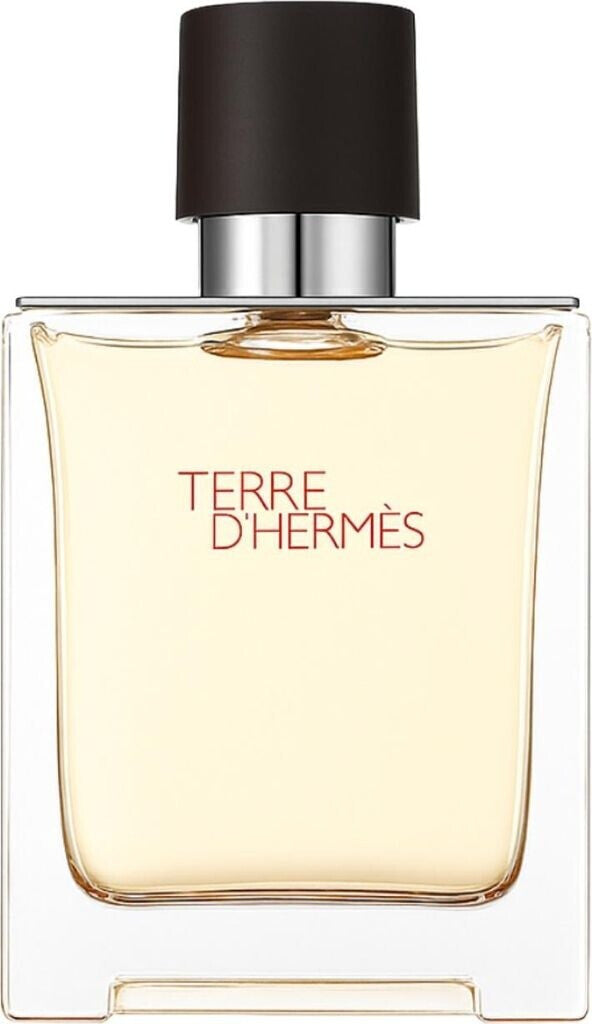 Hermès Terre d'Hermès Eau de Toilette 100 ml – Eleganter Herrenduft mit Zitrus & Holznoten