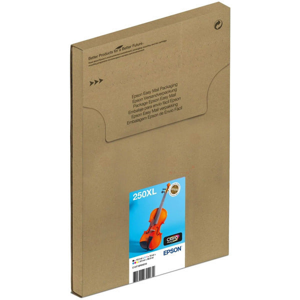 Epson Tinte C13T16P84510, 250XL