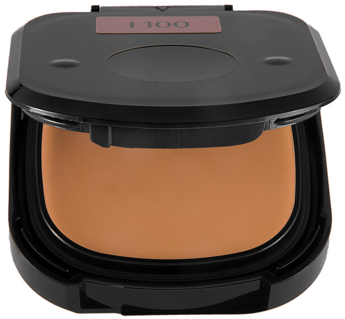 Shiseido Advanced Hydro-Liquid Compact